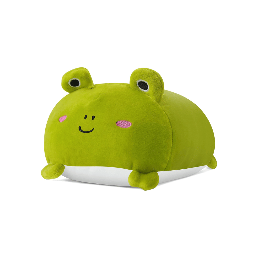 Knuffel cadeau: pluche kikker