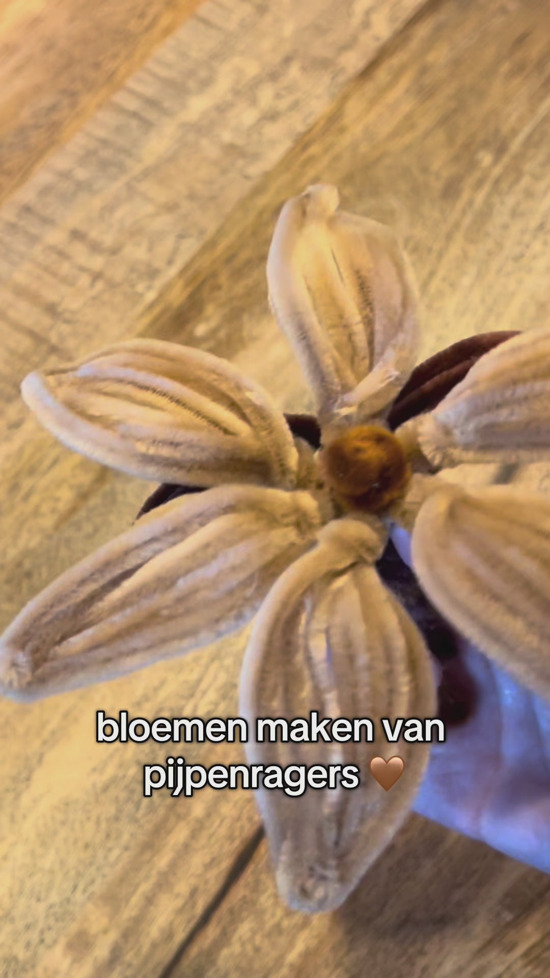 DIY chenilledraad project – maak stijlvolle decoraties met natuurlijke kleuren
