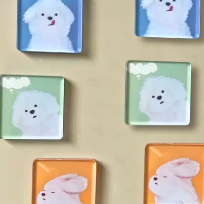 Koelkastmagneet maken - DIY knutselpakket (5 stuks) - DIY pakket volwassenen - Hobbypakket volwassenen