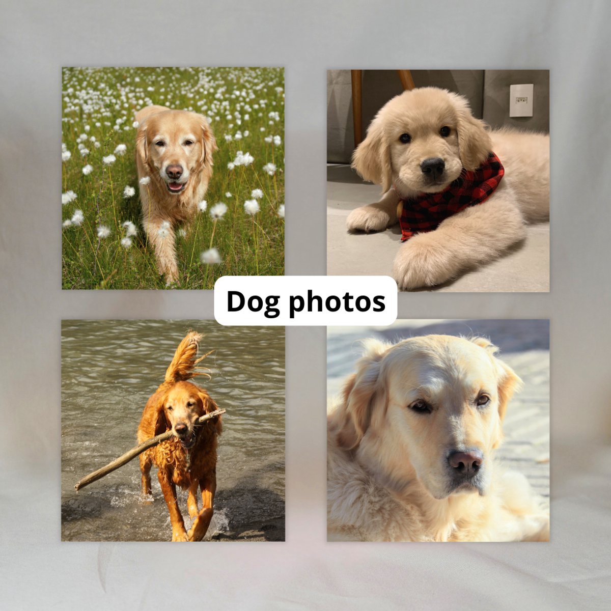 Gepersonaliseerde Fotomagneten (Set van 4) ✧