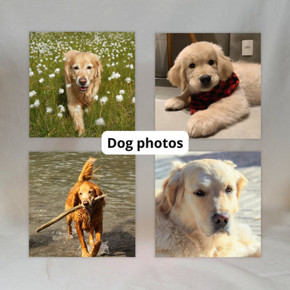 Gepersonaliseerde Fotomagneten (Set van 4) ✧