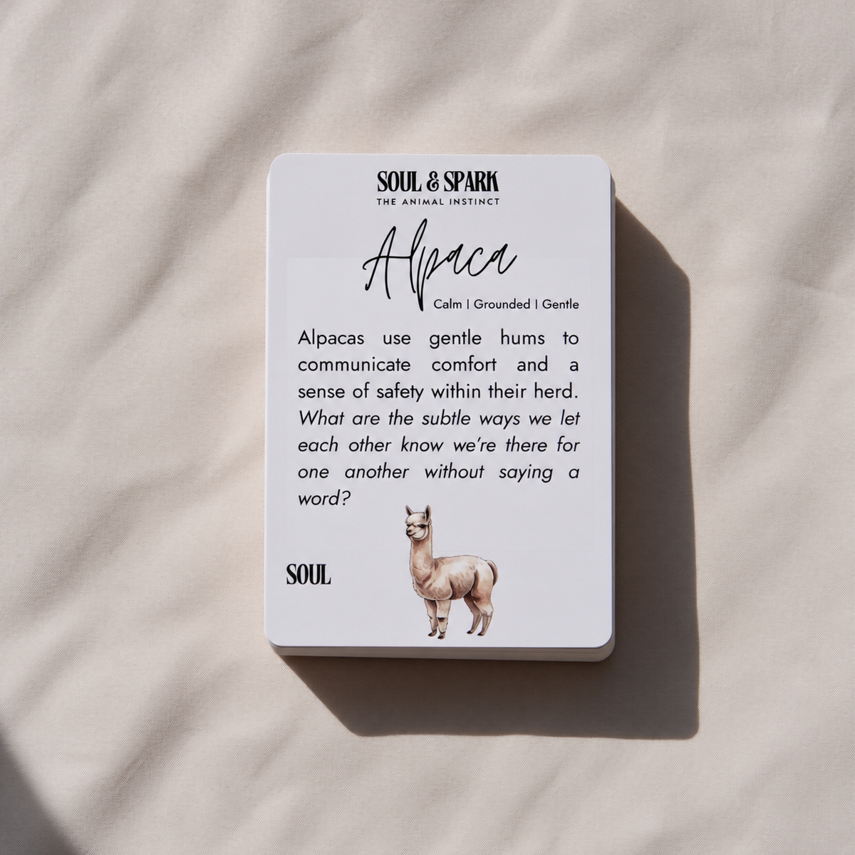 Soul & Spark: Gesprekskaarten voor Koppels ✧
