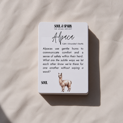 Soul & Spark: Gesprekskaarten voor Koppels ✧