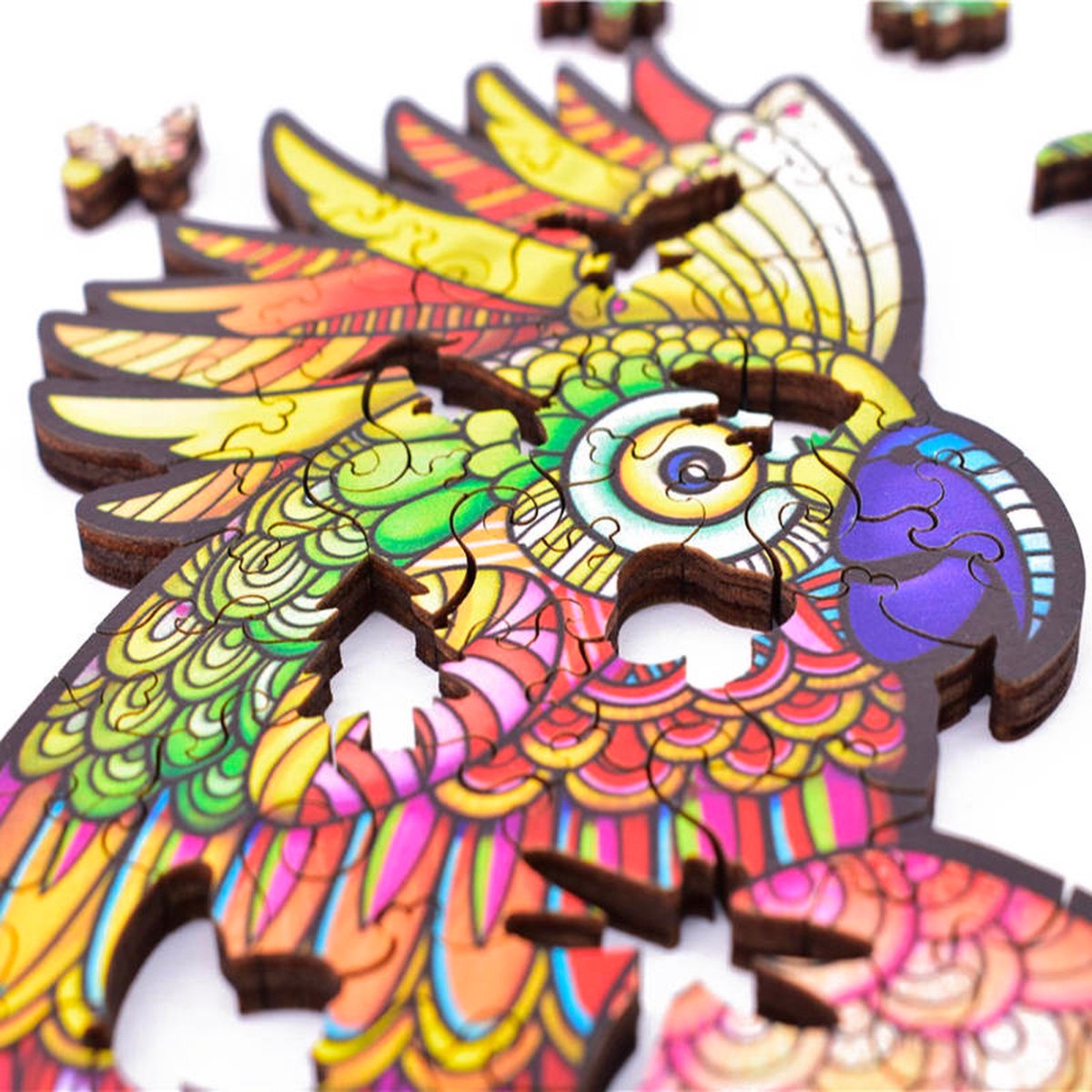 Papegaai Puzzel ✧